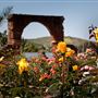 Mission San Luis Rey de Francia