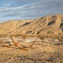 Folly Joshua Tree