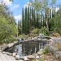 Large Ranch Style House with POOL & KOI POND