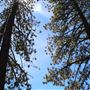 Kings Beach State Recreation Area (SRA)