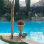 Casa Windrose