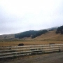 J G Angus Ranch