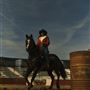 Rodeo riding arena, outdoor venue w stables