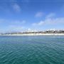 Santa Monica State Beach (SB) / Pacific Park Santa Monica Pier