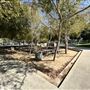 Clover Park