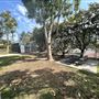 Syd Kronenthal Park