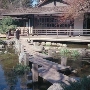 Japanese Friendship Tea Garden @ Kelley Park