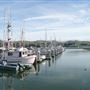 Spud Point Marina