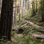 Stillwater Cove Regional Park