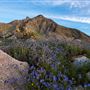 Anza-Borrego Desert State Park (SP)