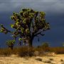 Saddleback Butte State Park (SP)