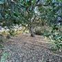Serrania Park