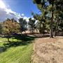 Bouquet Canyon Park