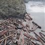 Mendocino Headlands State Park (SP)