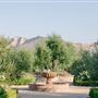 Tuscan Rose Ranch