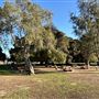 Cheviot Hills Park
