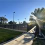 Cheviot Hills Park