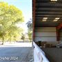 Tejon Ranch