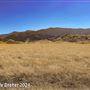 Tejon Ranch