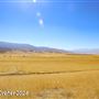 Tejon Ranch