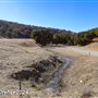 Tejon Ranch