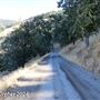 Tejon Ranch