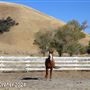 Tejon Ranch