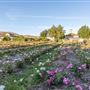 Garden Valley Ranch