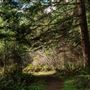 Azalea State Natural Reserve (SNR)