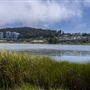 McLaughlin Eastshore State Park State Seashore (SP) - East Bay Regional Park District