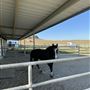 RsP Solomon Ranch
