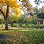 CARD Community Center/Creekside Rose Garden