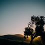 Holman Ranch