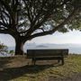 Angel Island State Park (SP)