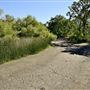 Anderson Marsh State Historic Park (SHP)