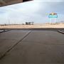 Road Runner's Retreat