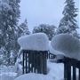 Long Creek Ranch