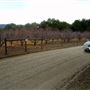 Calico Ranch Apple Orchard