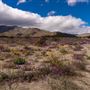 Anza-Borrego Desert State Park (SP)