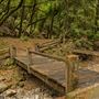 Armstrong Redwoods State Natural Reserve (SNR)