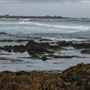 Asilomar State Beach and Conference Grounds