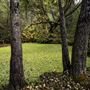 Auburn State Recreation Area (SRA)