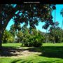 Golden Hill Park