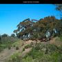 Golden Hill Park