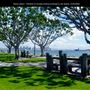 Harbor Island