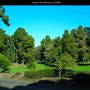 Junipero Serra Museum