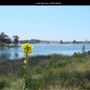 Lake Murray Reservoir
