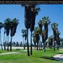 Mission Bay Parks