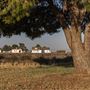 Colonel Allensworth State Park (SP)