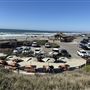 Torrey Pines State Beach (SB)